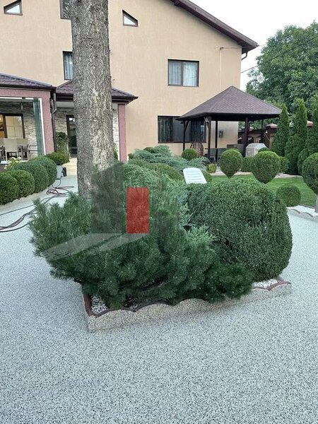 Sector 5, vila de lux de inchiriat ideala pentru afaceri.